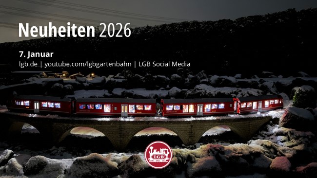 Einfach auf das Bild klicken und den Kurzfilm bei n�chtlicher Schneeszene ansehen. Danke an Hendrik Hauschild f�r die Ausf�hrung. 