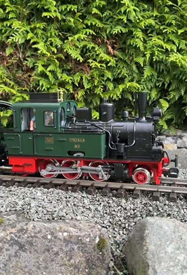 LGB Zug mit Spreewald, Personenwagen, Fakultaivwagen, offenen G�terwagen und Museumswagen 2026, wie er bei einer Fotoveranstaltung 60 Jahre DEV zu sehen war: 