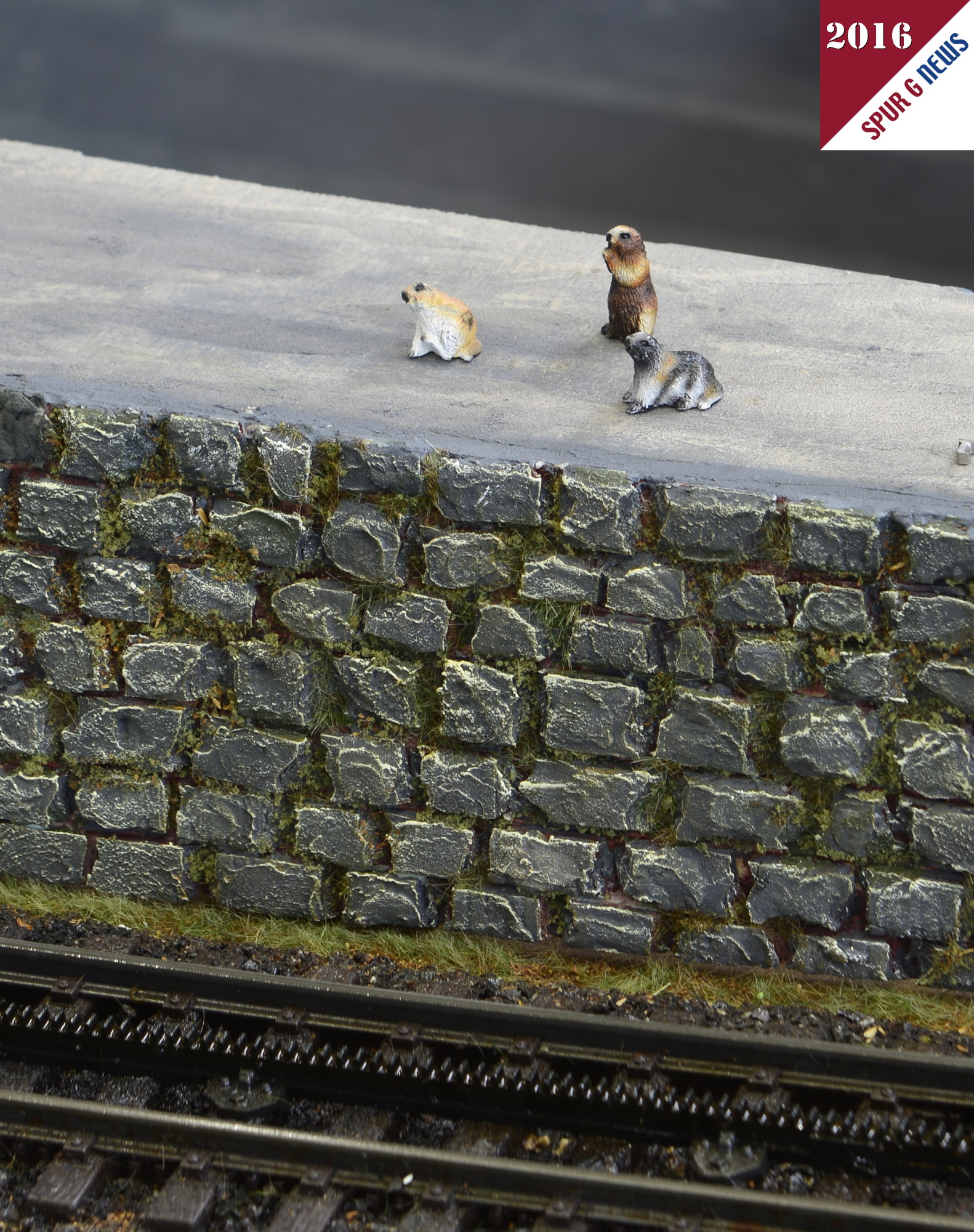 Diesmal warteten schon die kleinen Murmeltiere von Prehm-Miniaturen an der Strecke auf den roten Zug der Schafbergbahn. Auch bei der Schafbergbahn ist die Zahnstange vom System "ABT" verbaut. wird das Bild durch rechtsklick vergrert, kann hier schn die Zweilammenzahnstange erkannt werden. 