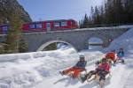 Auf ins weisse Vergnügen mit der RhB ins Winterwunderland - Graubünden