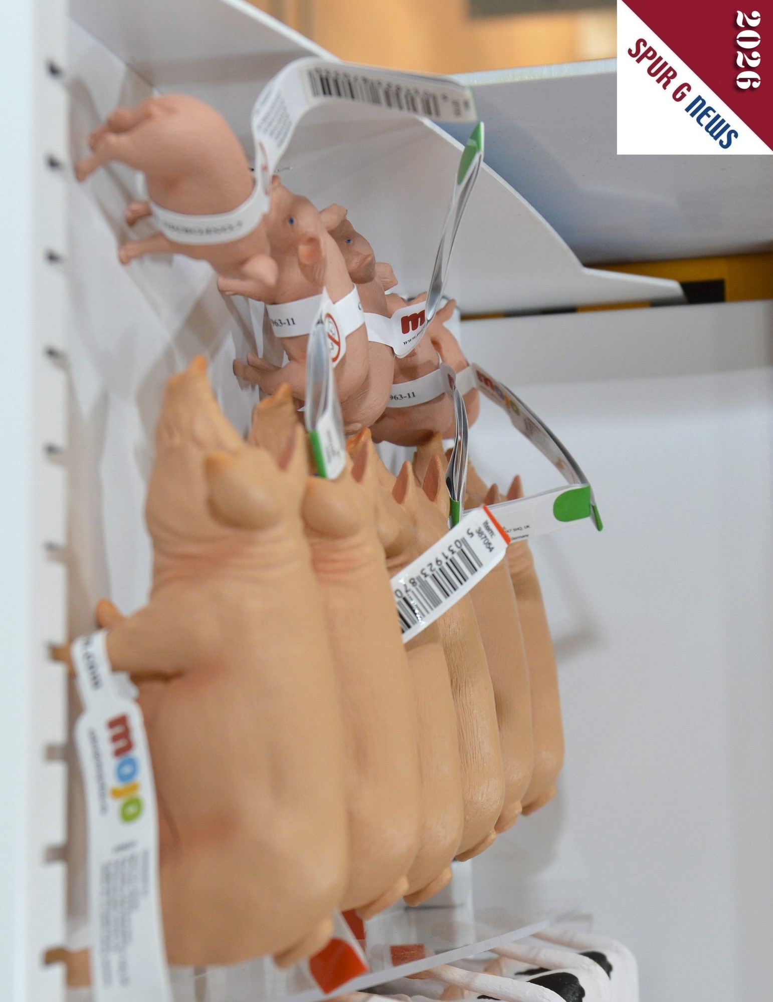 Die Schweine und Ferkel passen zum G-Maßstab. Tiere aus laufendem Angebot und laufender Produktion.