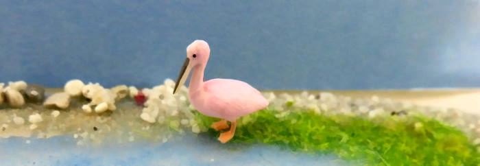 Bild - Pelikan - rosa - Eingangsbild - Creativ Modellbau Klingenhfer
