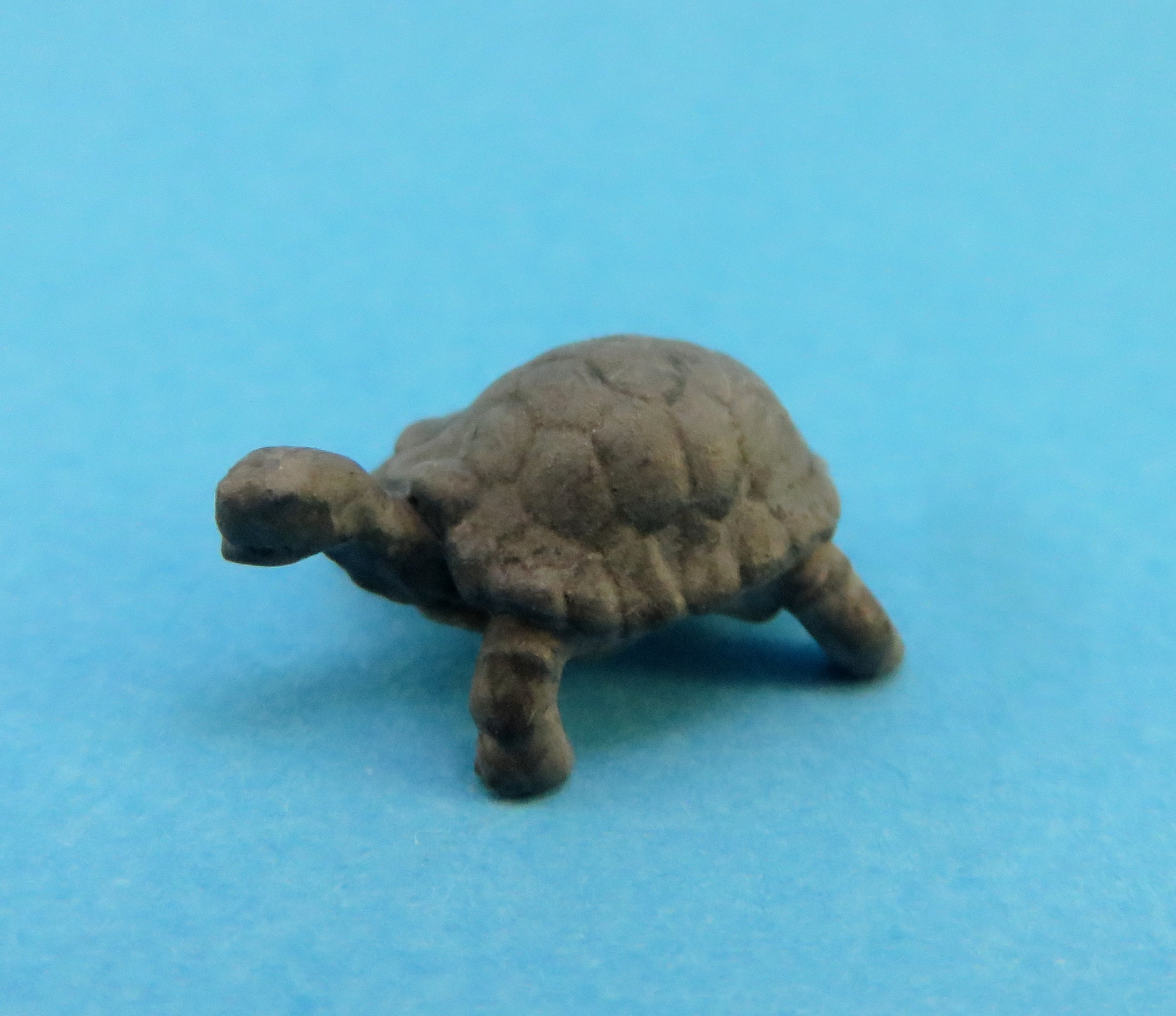 Schildkröte, 1 Tier, Länge ca. 2,9 cm - Panzerlänge ca. 2,0 CM