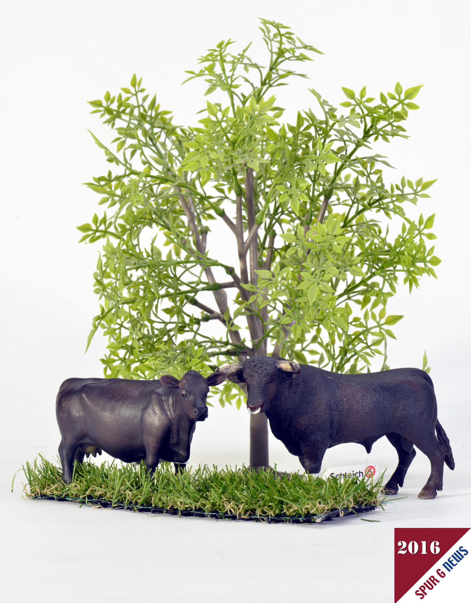 Auf dem Bild ist eine Kuh und ein Bulle von Schleich vor einem Busch-Baum im Fotostudio abgelichtet.