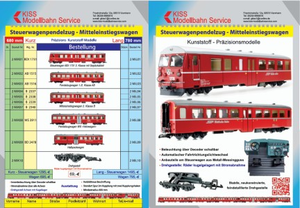 KISS Modellbahnservice, Mitteleinstiegswagen, Umlackierungen, Taschenwagen und 20 Fu Container. 