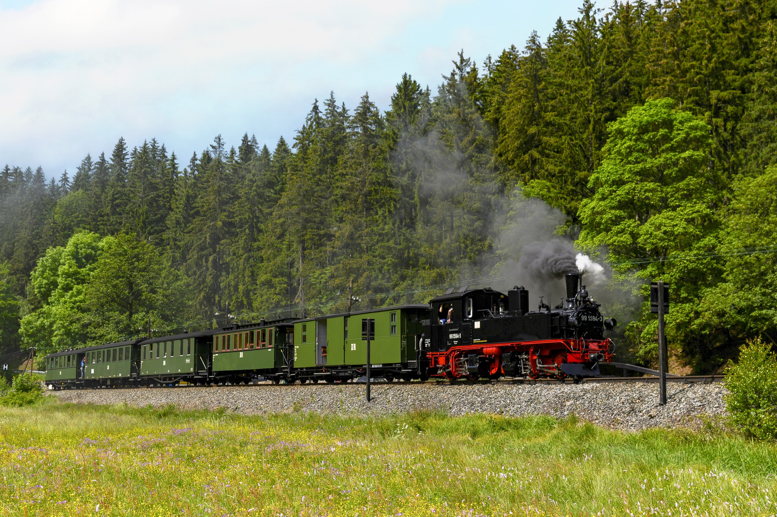 press/2026/Sommerfahrtage/Zug der Preßnitztalbahn am Haltepunkt Forellenhof