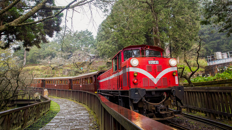 Die neue Partnerbahn der RhB. Die Alishan Forest Railway verl�uft im S�dwesten des zentralen Bergmassivs Taiwans: Sie beginnt in Chiayi City, f�hrt durch Zhuqi und Meishan und endet in Alishan. Die Hauptlinie ist 71,4 Kilometer lang und weist eine Spurweite von 762 mm auf � typisch f�r Gebirgsbahnen, die steile und anspruchsvolle Landschaften �berwinden m�ssen. Die Strecke durchquert eine eindrucksvolle Landschaft vom Tiefland bis ins Hochgebirge (40 bis 3�952 m.�.M.) und verbindet dabei verschiedene Klimazonen.